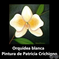 Orquídea blanca - Pintura de Patricia Crichigno